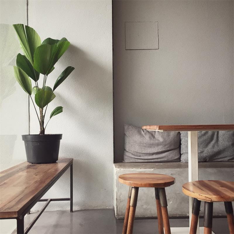 Home & Living Essentials