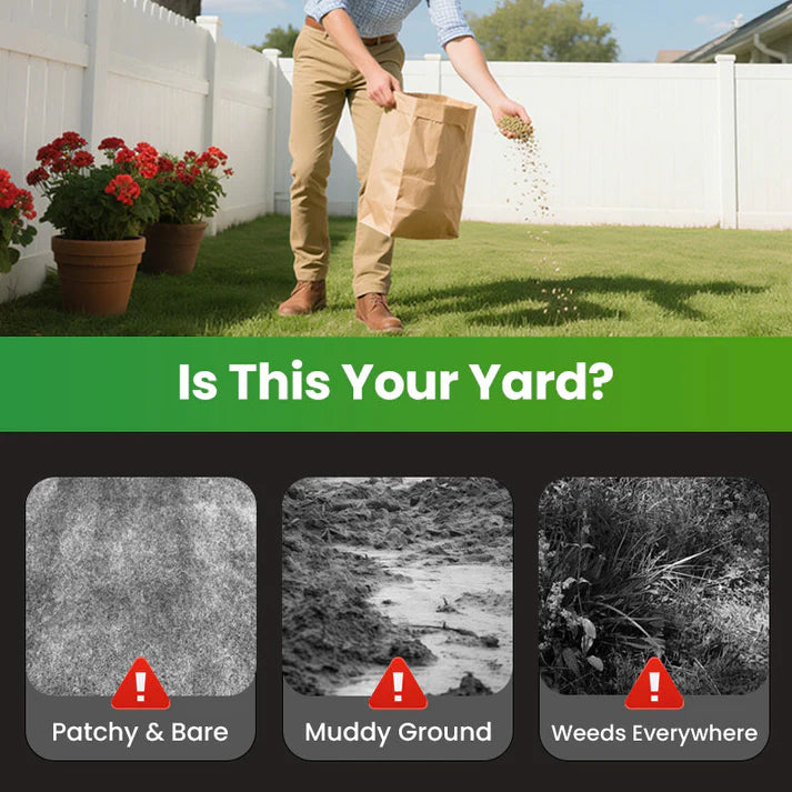 🔥Grass Seeds for Lawn and Golf Course