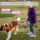 Retractable Dog Lead with Safety Light | Escape-Proof Brake Lock & 360° Visibility | Ideal for Evening Walks in Rainy Weather
