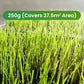 🔥Grass Seeds for Lawn and Golf Course
