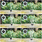 🔥Limited stock available 80% OFF🔥Solar Powered Bird Bath Fountain
