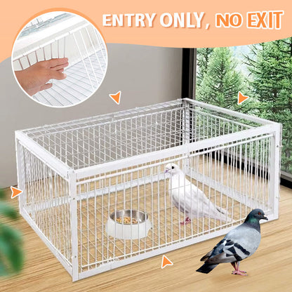 🔥Auto Trap Humane Bird Cage-Entry Only, No Exit, With Base