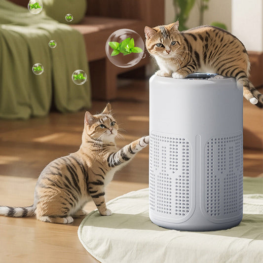 🌿 Air Purifier for Home