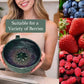🔥 Hot sale 50% OFF🔥Berry Swirl Washing & Serving Bowl